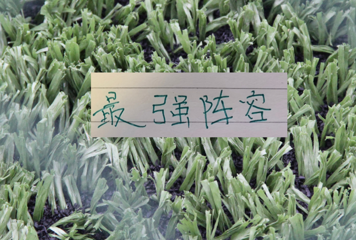 北京国安球员复出备战新赛季阵容调整引关注